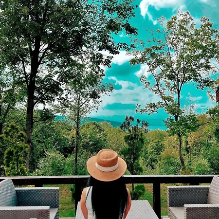 Balkaya Dag Evi Chalet Sapanca