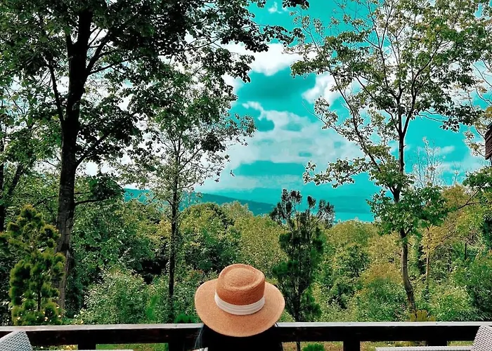 Balkaya Dag Evi شاليه سبانجا